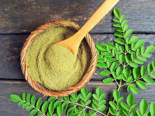 Moringa harvest