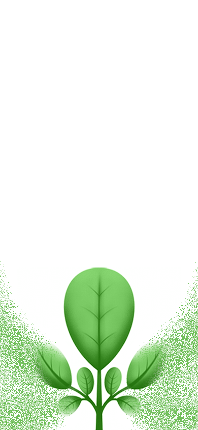 Leafydoo Farm