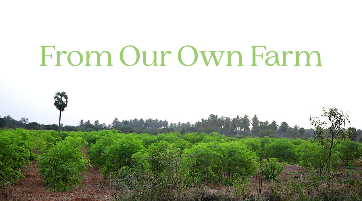 From Our Own Farm